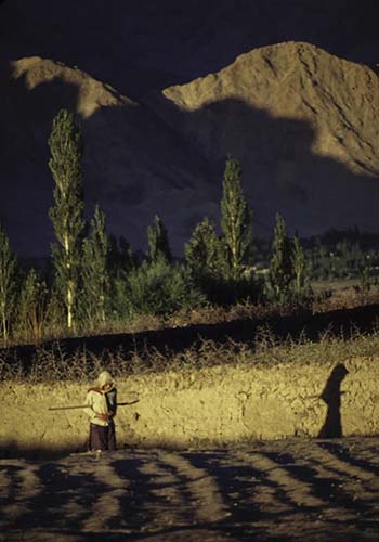 Landscape, Ladakh, India